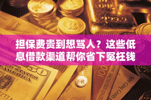 济南担保费贵到想骂人？这些低息借款渠道帮你省下冤枉钱