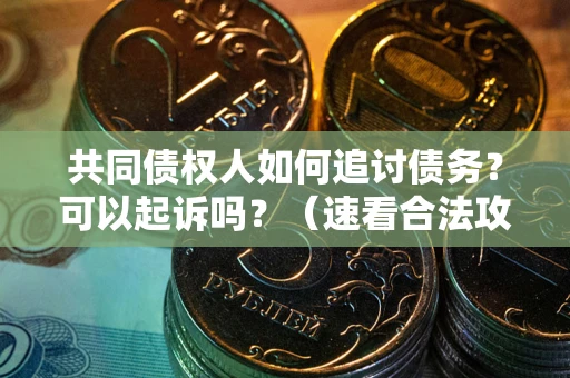 济南共同债权人如何追讨债务？可以起诉吗？（速看合法攻略）